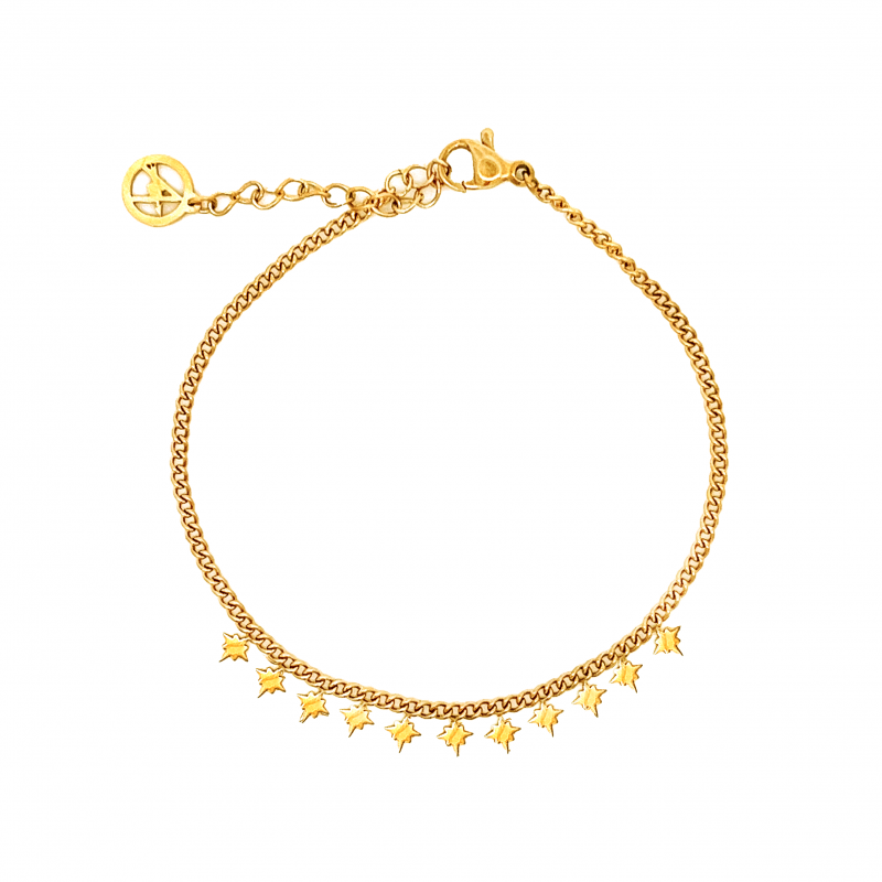 BRACCIALE CATENA GOURMETTE CON ROSE DEI VENTI - 201224072C58