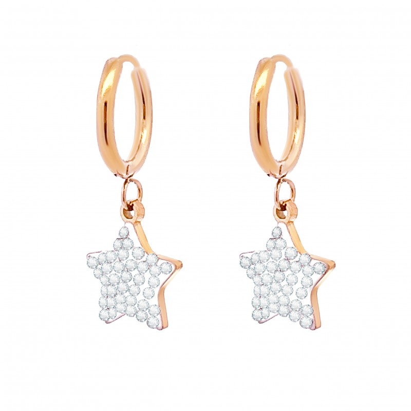 ORECCHINI CON STELLE PENDENTE - JN21621656C46